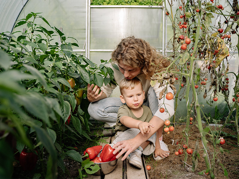 Mama im Garten mit Kleinkind beim Ernten von selbstangebautem Gemüse